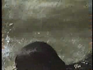 Slaves of the Cannibal God