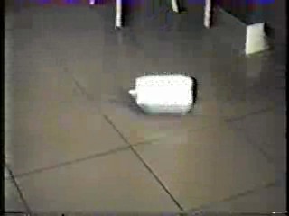 Confessions of a Window Cleaner,  Confessions of a Driving Instructor