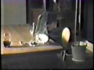 Confessions of a Window Cleaner,  Confessions of a Driving Instructor