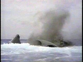 Living It Up,  The Spy Who Loved Me