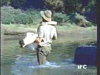 The Gods Must Be Crazy