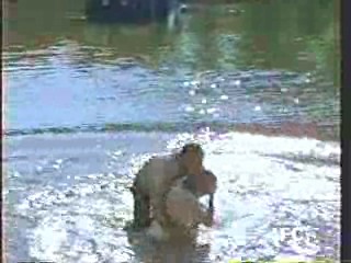 The Gods Must Be Crazy