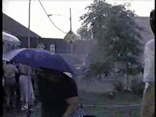 Stanley & Iris,  Lure of the Swamp