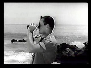 Tormented,  Zandalee