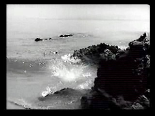 Tormented,  Zandalee