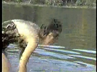 Embryo,  Pancho Barnes,  Lets Scare Jessica to Death