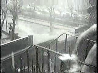 Georgy Girl,  Jungle Movie