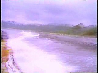 Turkish Movie,  Playboy's Girls of Jamaica