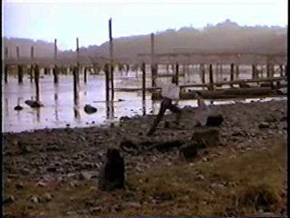 Making Mr Right,  Deceptions,  Come See the Paradise