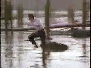 Making Mr Right,  Deceptions,  Come See the Paradise