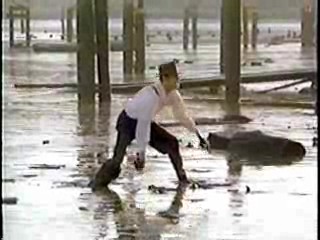 Making Mr Right,  Deceptions,  Come See the Paradise