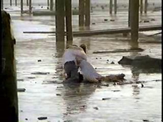 Making Mr Right,  Deceptions,  Come See the Paradise