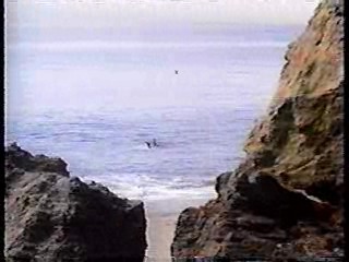 China Beach,  Renta Cop,  Kissin' Cousins