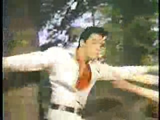 China Beach,  Renta Cop,  Kissin' Cousins