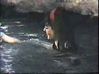 Class of 1999,  Guerillas in Pink Lace