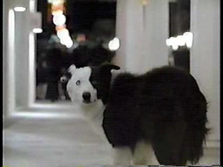 Benny Hill,  Down and Out in Beverly Hills