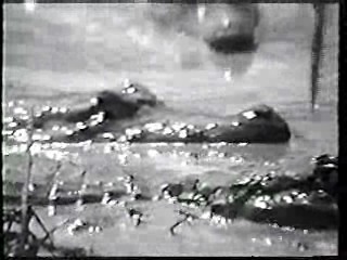 Shrimp on the Barbie,  River of Evil