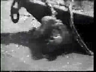 Shrimp on the Barbie,  River of Evil