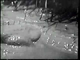 Shrimp on the Barbie,  River of Evil