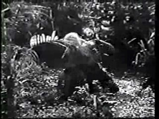 Shrimp on the Barbie,  River of Evil