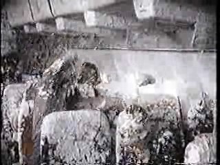 Where the Buffalo Roam,  Mork & Mindy