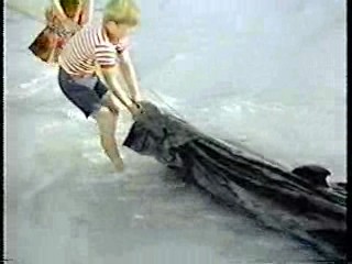 Daktari,  Sands of the Kalahari