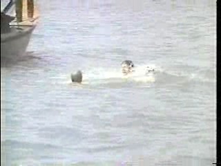 Jennifer on My Mind,  Teachers Slimed,