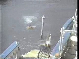 Jennifer on My Mind,  Teachers Slimed,