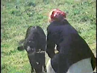 Marilyn, the Untold Story