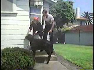 Marilyn, the Untold Story