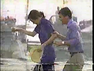 The Year of Living Dangerously,  Old Gringo