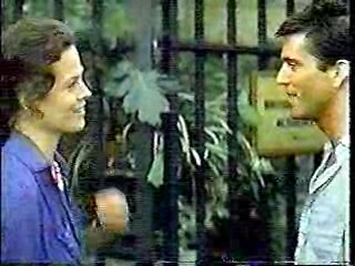 The Year of Living Dangerously,  Old Gringo