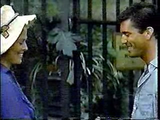 The Year of Living Dangerously,  Old Gringo