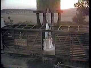 The Year of Living Dangerously,  Old Gringo