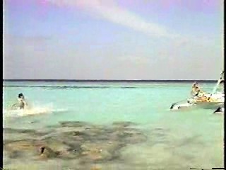 I Love You Alice B Toklas,  Ghosts Can't Do It