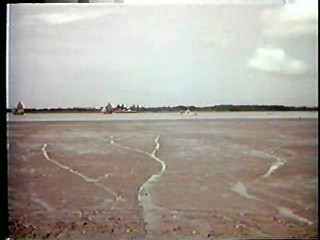 Island of the Lost Girls