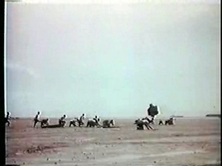 Island of the Lost Girls