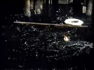 Sex and the Single Girl