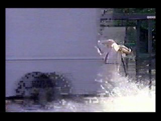 Dash Commercial,  Waltz Across Texas