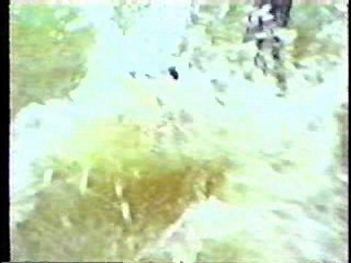 UK Renaissance Fair, Indian Movie