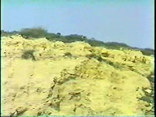 Murder: Ultimate Grounds for Divorce,  The Nude Bomb,