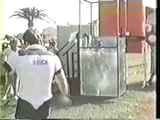 Battle of the Network Stars