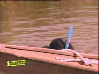 premiere compagnie - wetlook in lake