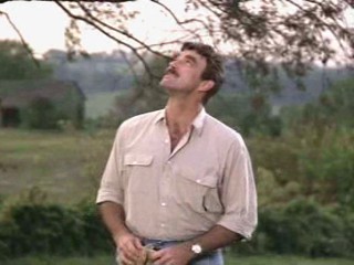 Her Alibi/100 Rifles/Independence Day movie wetlook