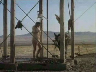 Her Alibi/100 Rifles/Independence Day movie wetlook