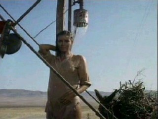 Her Alibi/100 Rifles/Independence Day movie wetlook