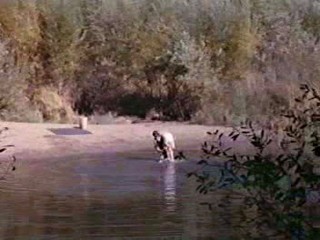 Her Alibi/100 Rifles/Independence Day movie wetlook