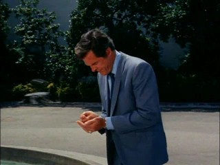 I Spy: Tag You're It