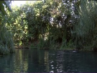 The Librarian: Return to King Solomon's Mines 