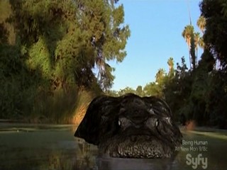 Mega Python vs Gatoroid (Scene 1)